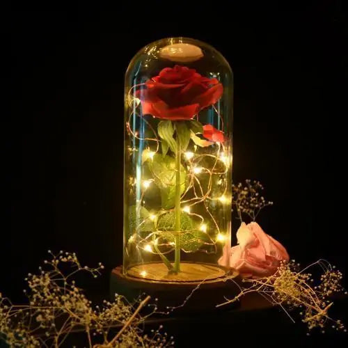 Magical Rose Light